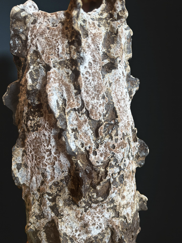 Lava Rock Ceramic Vase – Volcanic Textured Vessel