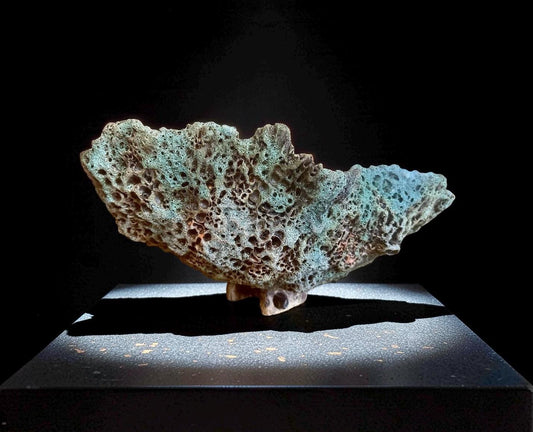 Hand-Sculpted Ceramic Vase – Lava Texture, Wabi-Sabi Coral Sculpture